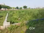 Plot for sale near kamluaganja...