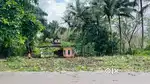 Distance from taliparamba = 12 km