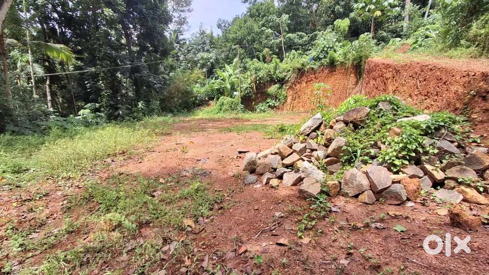 8.5 Cent House Plot For Sale. Price Negotiable