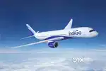 Indigo Airlines Urgent Hiring For Ground Staff Jobs Vacancy Available.