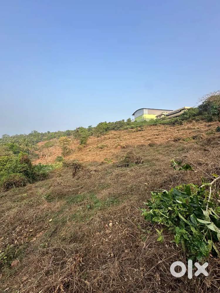 8.10 ACRE PLOT FOR SALE IN THUVAKKUNNU, KANNUR DIST.