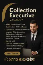 Feld executive officer