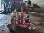 Milk machine of cow