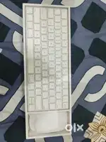Apple Magic Mouse and Magic Keyboard