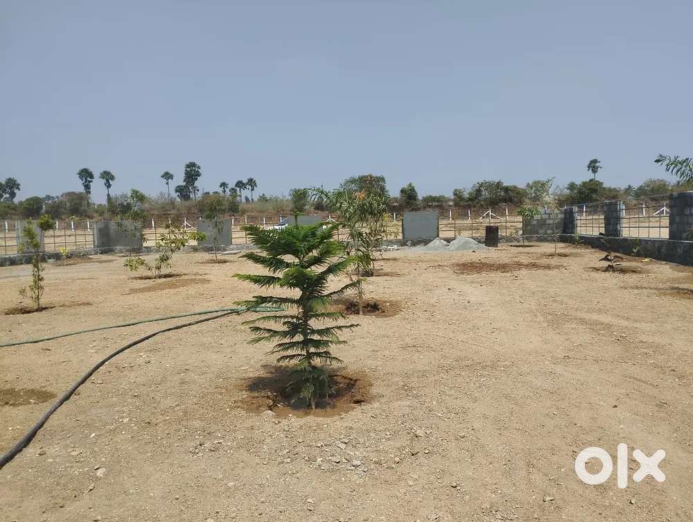Very Low Budget Farmland For Sale in Pothanur Chettipalayam