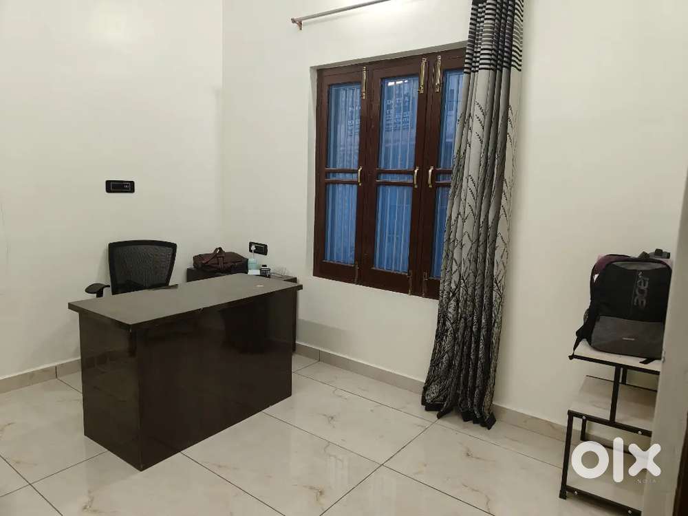 Professional video editor  vlogs editor