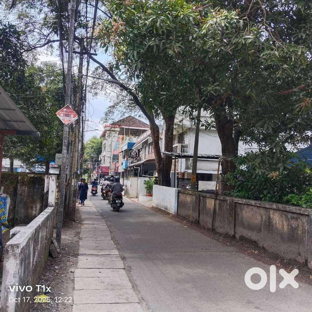 House plot or commercial plot at kaloor