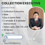 Hiring  COLLECTION EXECUTIVE