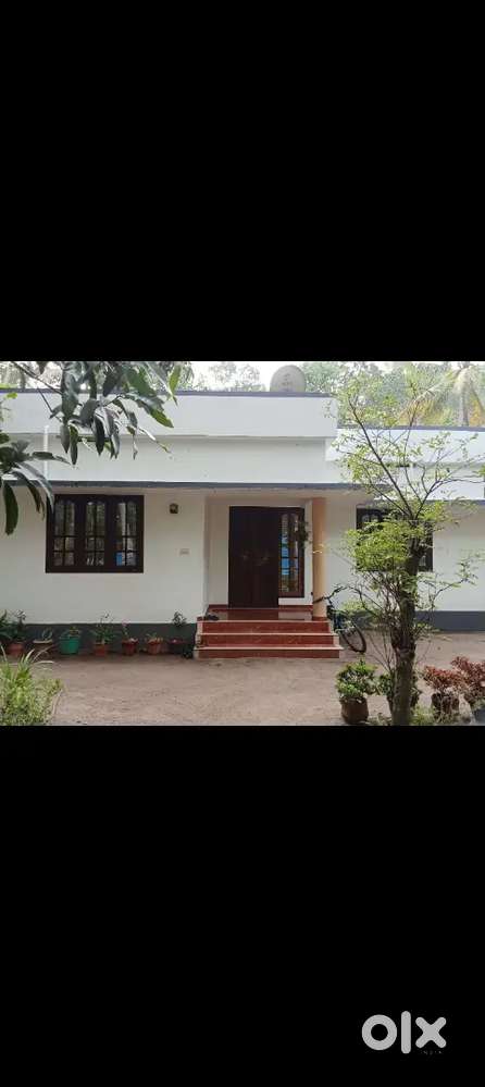 15cent plot 1000sq feet house panchayath road frontage