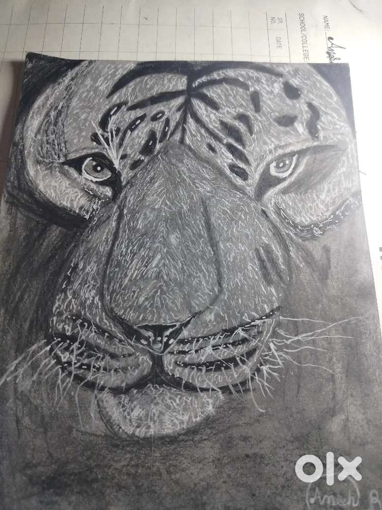 Best drawing tiger graphite powder realistic hyper
