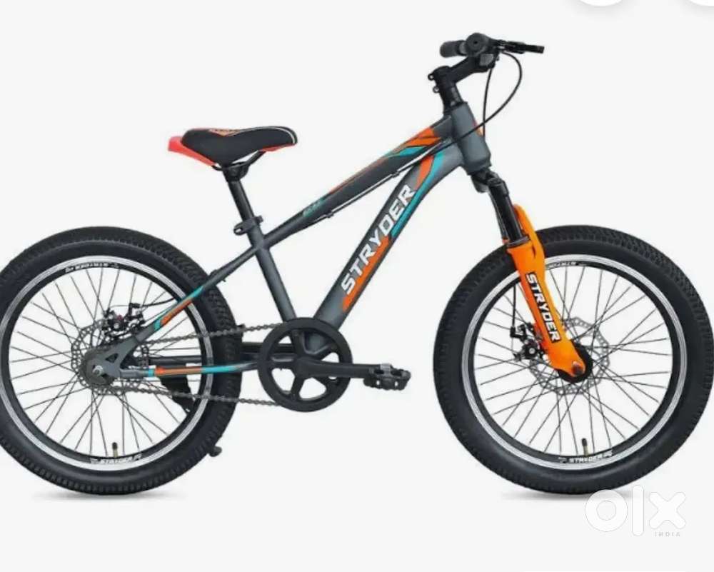 ( Holland) 20-inch cycle for sale (e.g., Hero 20-inch cycle for sale