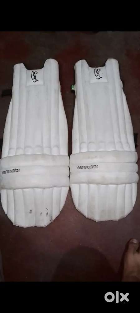 Kookaburra Cricket Pad and Gloves
