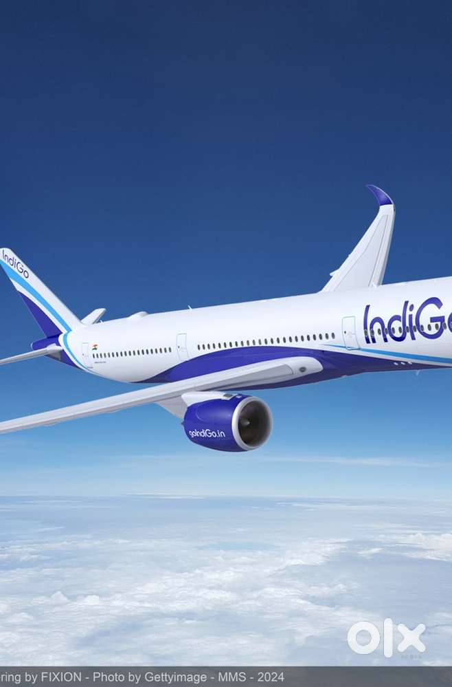 Urgent Requirement For Ground Staff Jobs In IndiGo Airlines
