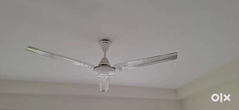 Ceiling Fans