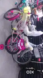 Super cycle hai