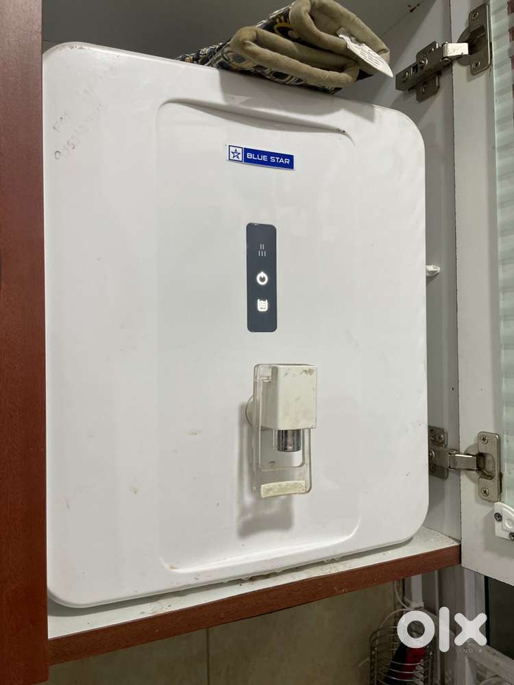 Water Purifier Blue Star