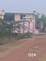 33.33 ank very near to jwalamukhi amavaru temple back side baba temple