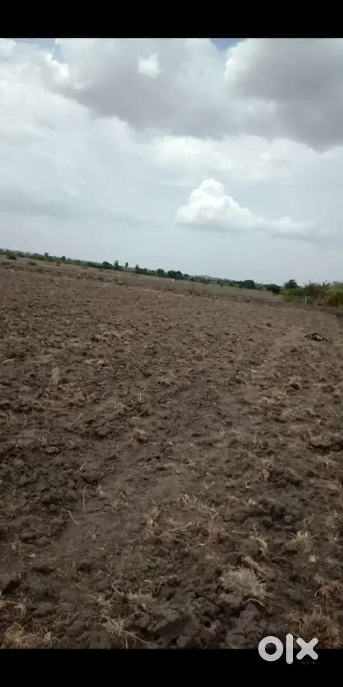 6 acres farm land