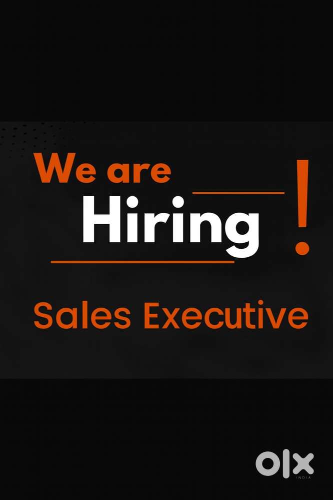 Sales Eexcuitive