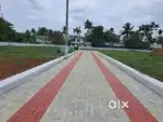 Angamaly kidangoor 8 cent house plot for sale immediately