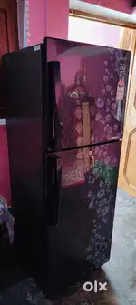 Freeze hai.