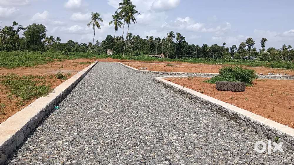 Angamaly appollo hospital near 4,5,6,8, 10 CENT PLOTS AVAILABLE