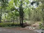 പാലാ-പൊൻകുന്നം റൂട്ടിൽ 30 cent House plot വില്പനക്ക്.