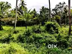32 cent Agricultural land for sale @ Kaniyapuram