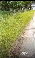 Vacant plot