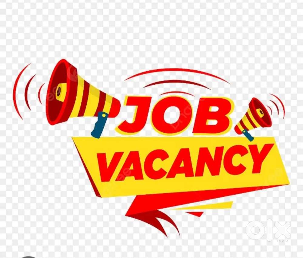 Job vacancy for freshers