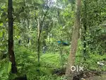 10 cent Residencial Land Athani Thrissur