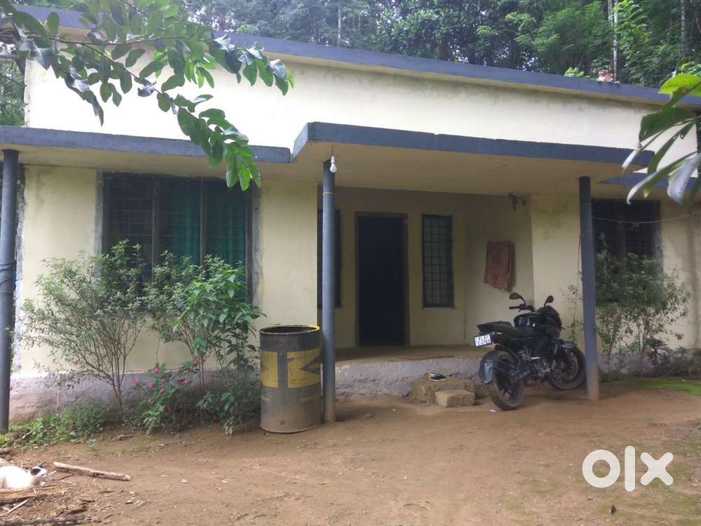 10 cent plot and house