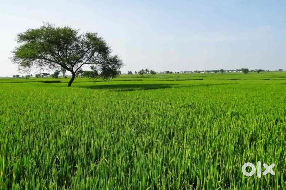 3 Acres land for sell, Road side bit (Commercial property)