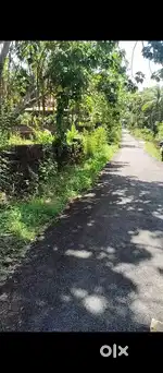 house plot Near uduma Government Higher Secondary School just 70 meter