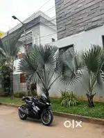 R15 V3 BS4