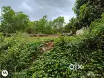 Pakshikere Layout property