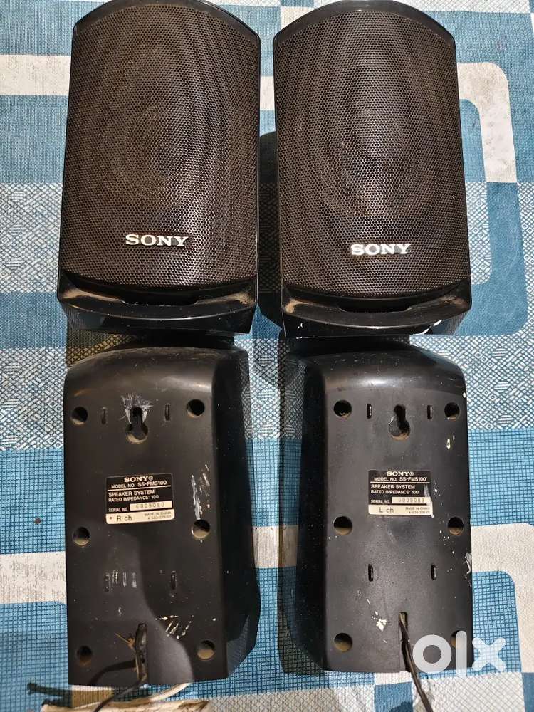 Sony wall speakers.