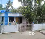 House for urgent sale  4.100cent Near vijayamatha church