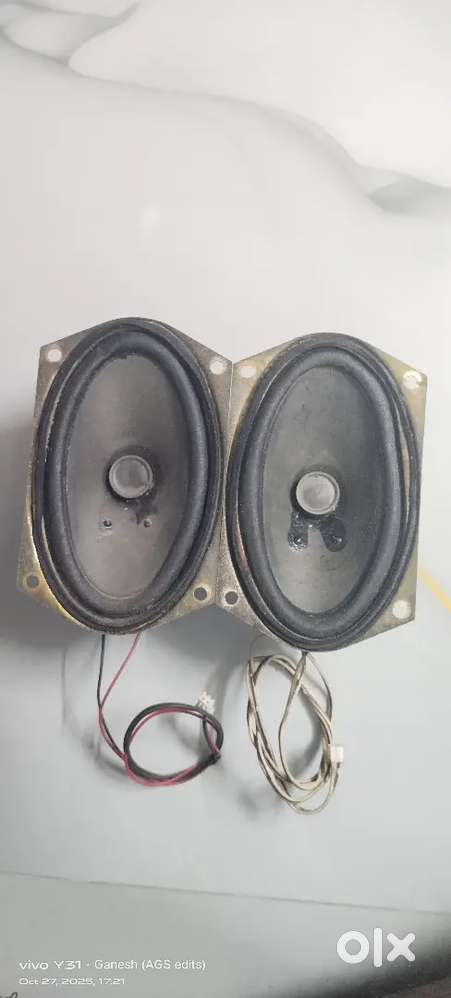 10 W spker