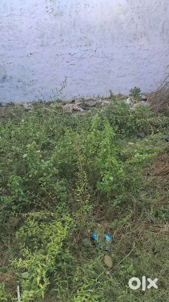 New singh hospital bypass  ke samne h khali plot h