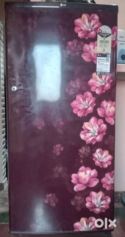 Fridge use for kitchen