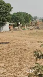 Land available for Rent