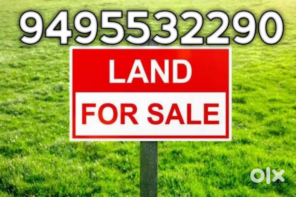 സ്ഥലം വിൽപ്പനക്ക്

താമരശ്ശേരി പള്ളിപ്പുറം റോഡിൽ (മഞ്ചട്ടി) വീ