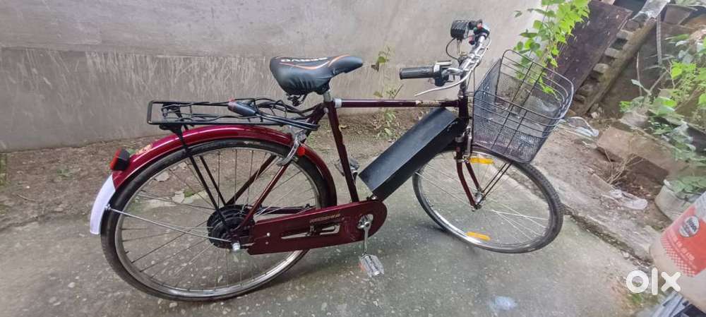 Hero 20 self modified Electric Bicycle 55 KM Range Great Condition