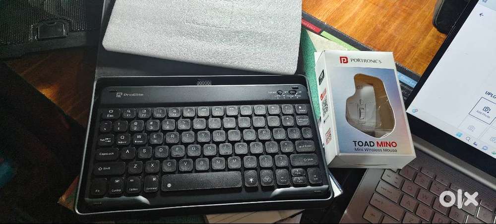 Keyboard ( Pro-elite keyboard and Portronics mouse)