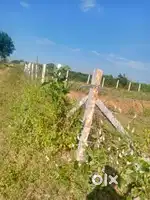 Agriculture land for sale farm house 3side road