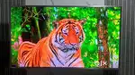 Iffalcon 65 inch led tv