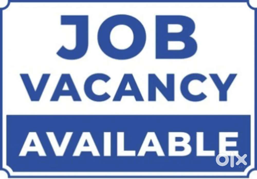 Only boys are needed to work on a gift showroom serious worker contact