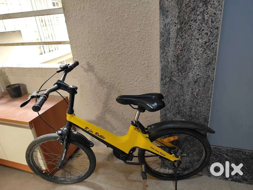 r for Rabbit bicycle for kids