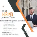Buisness Development Executive
